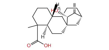 15alpha-Hydroxykaur-16-en-19-oic acid